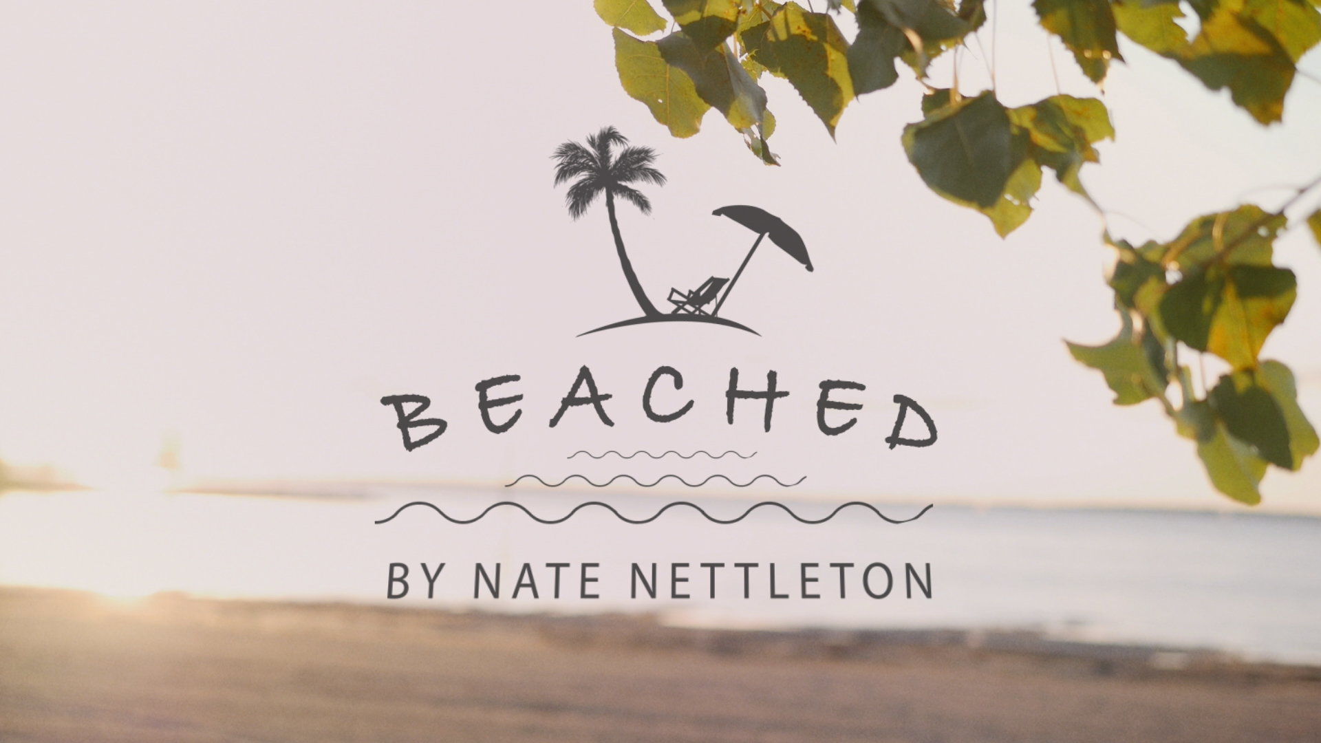 Nate Nettleton: Beached